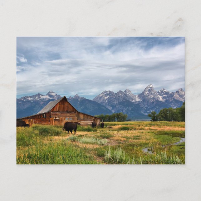 Moulton Barn Postcard (Front)