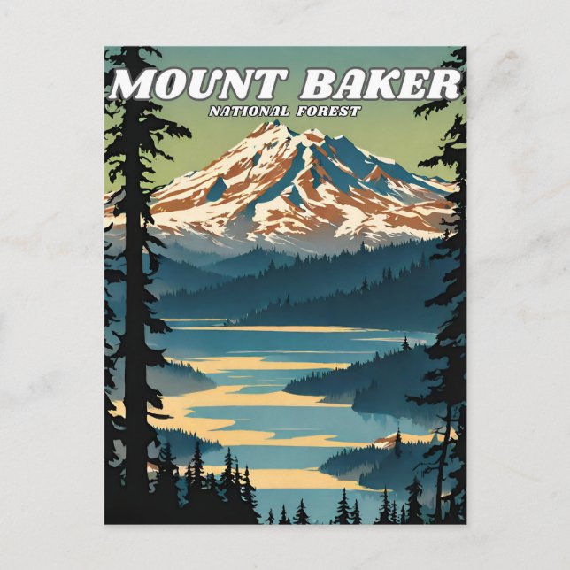 Mount Baker National Forest illustration retro Postcard (Front)