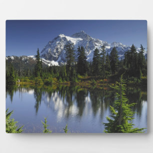 Mount Baker-Snoqualmie National Forest Plaque