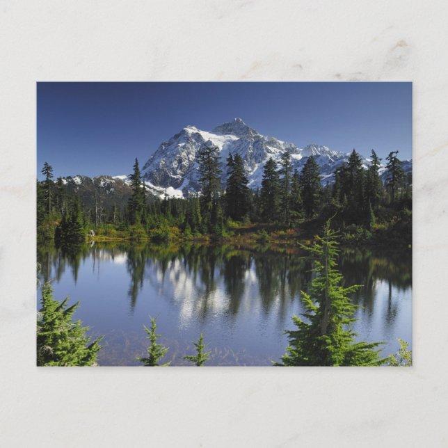 Mount Baker-Snoqualmie National Forest Postcard (Front)