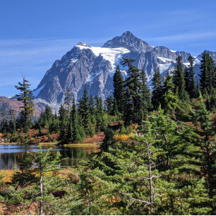 Mount Baker, Washington Fall Color Poster