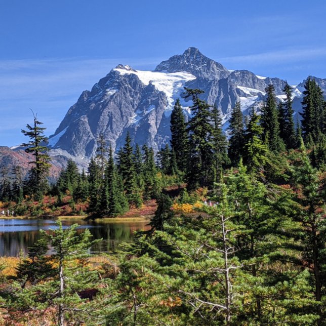 Mount Baker, Washington Fall Colour Poster (Creator Uploaded)