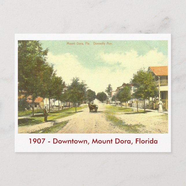 Mount Dora, FL - Downtown - 1907 Postcard (Front)
