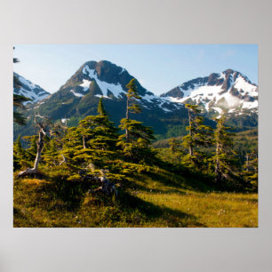Mount Eccles near Cordova, Alaska Poster