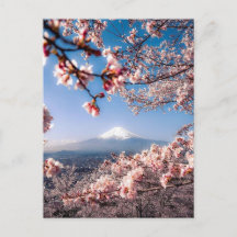 Mount Fuji and Cherry