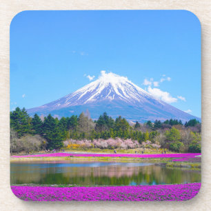 Mount Fuji Trees and Flowers Coaster