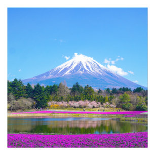 Mount Fuji Trees and Flowers Photo Print