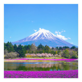 Mount Fuji Trees and Flowers Photo Print