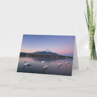 Mount Fuji | Yamanaka Lake with Swans