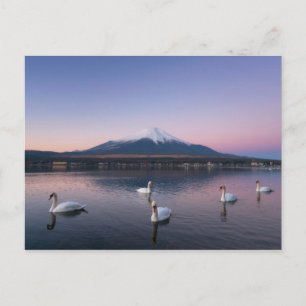 Mount Fuji Yamanaka Lake with Swans Postcard
