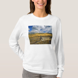 Mount Haggin NWR near Anaconda Montana T-Shirt