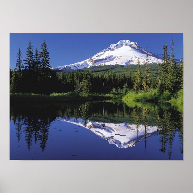 Mount Hood, Oregon Poster (Front)