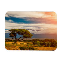 Mount Kilimanjaro | Amboseli, Kenya