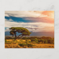 Mount Kilimanjaro | Amboseli, Kenya