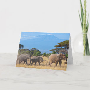 Mount Kilimanjaro elephants Card