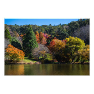 Mount Lofty Botanic Gardens Beautiful Autumn Photo Print
