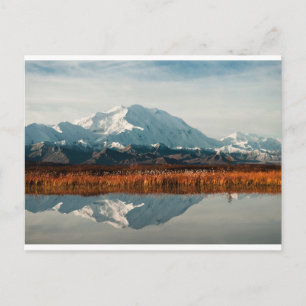 Mount McKinley in Denali NP, Alaska Postcard
