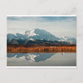 Mount McKinley in Denali NP, Alaska Postcard