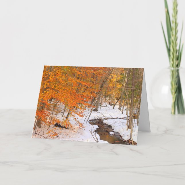 Mount Monadnock Forest Stream and Snow Foliage Card (Front)