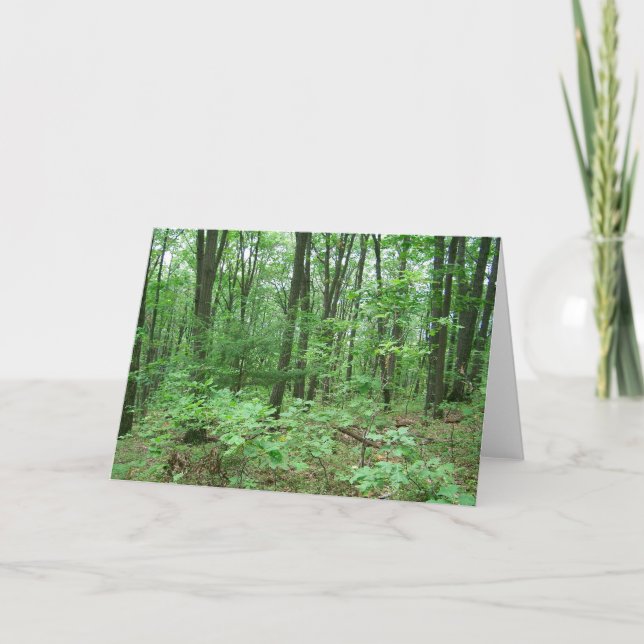 Mount Nittany Note Cards (Front)