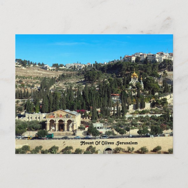 Mount Of Olives ,Jerusalem Holiday Postcard (Front)