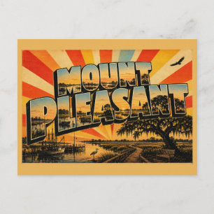Mount Pleasant SC Tidal Creek Salt Marsh Art Postcard