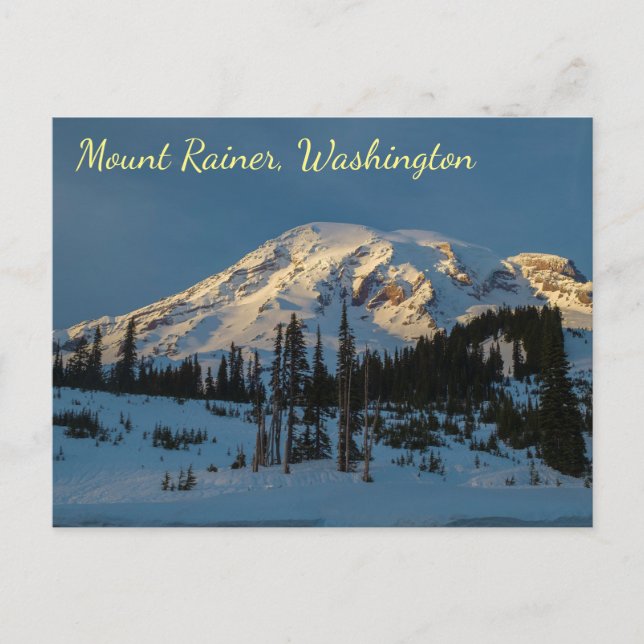 Mount Rainer evening light Postcard (Front)