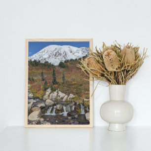 Mount Rainier and Edith Creek Photo Print