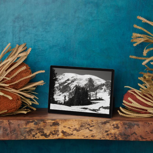 Mount Rainier in June Plaque (Side)