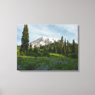 Mount Rainier Morning Light Canvas Print