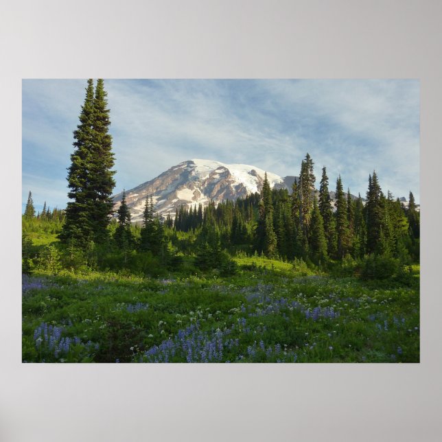Mount Rainier Morning Light Poster (Front)