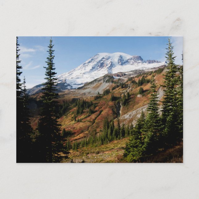 Mount Rainier National Park, autumn Postcard (Front)