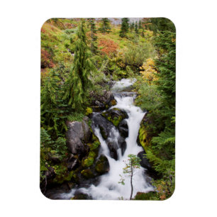 Mount Rainier National Park, autumn stream Magnet