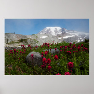 Mount Rainier National Park, Mount Rainier 1 Poster