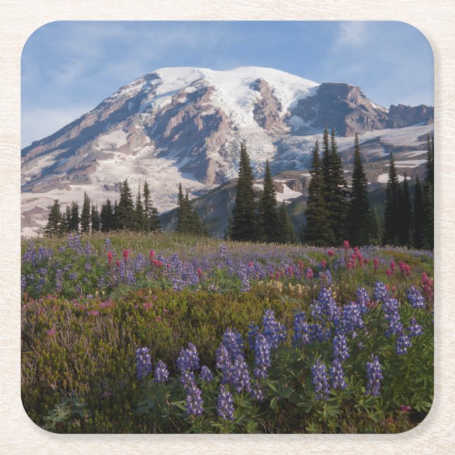 Mount Rainier National Park, Mount Rainier 3 Square Paper Coaster (Front)