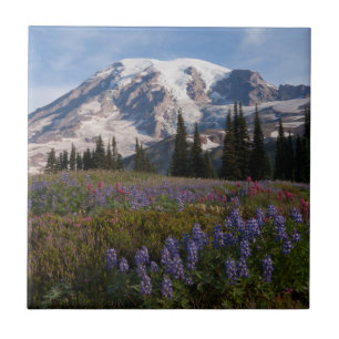 Mount Rainier National Park, Mount Rainier 3 Tile