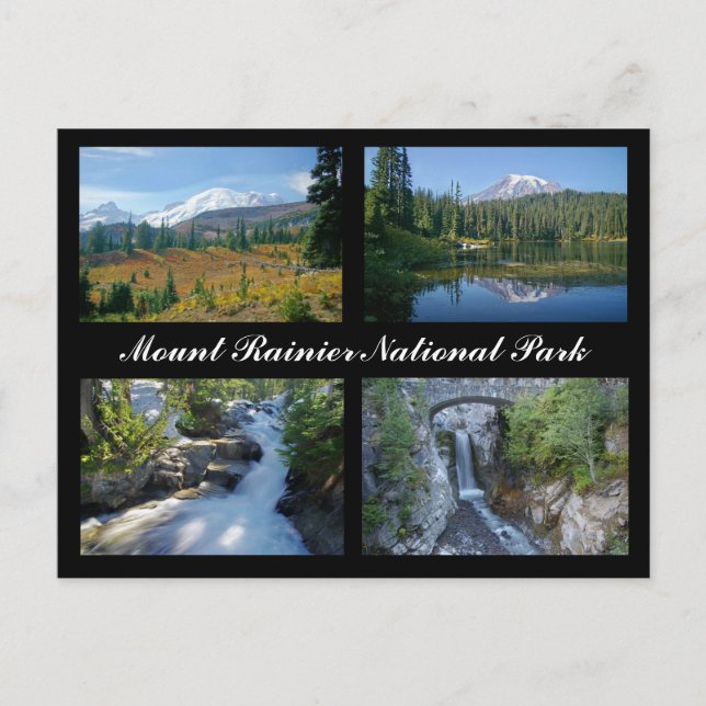 Mount Rainier National Park Postcard (Front)