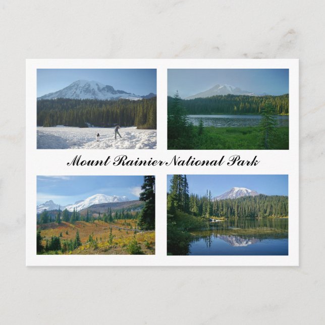 Mount Rainier National Park Postcard (Front)