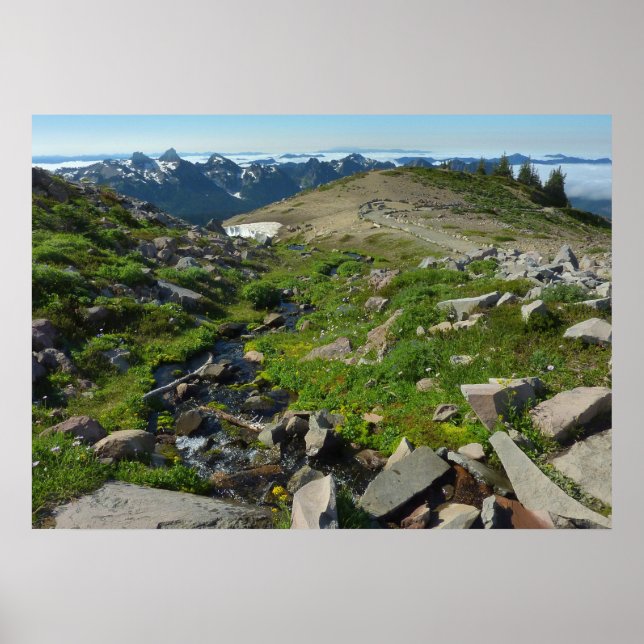 Mount Rainier Panorama Point Poster (Front)