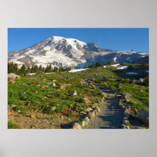 Mount Rainier Skyline Trail View Poster