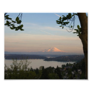 Mount Rainier Vista Photo Print