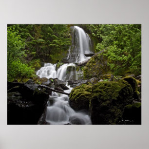 Mount Rainier Waterfall Poster