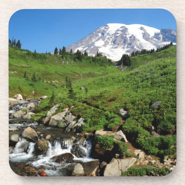 Mount Rainier, waterfall, snow-covered Coaster (Front)
