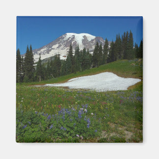 Mount Rainier, Wildflowers and Snow Magnet