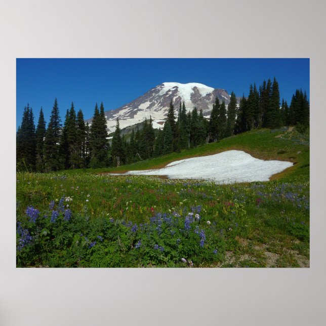 Mount Rainier, Wildflowers and Snow Poster (Front)