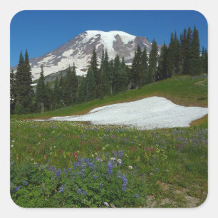 Mount Rainier, Wildflowers and Snow Square Sticker
