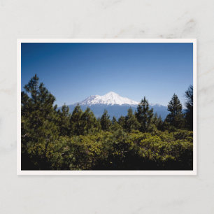 Mount Ranier Washington Pacific Northwest Postcard