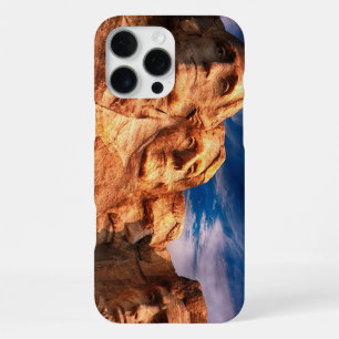 Mount Rushmore US Presidents iPhone 16 Pro Max Case