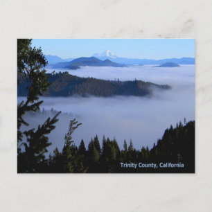 Mount Shasta beyond the fog... Postcard