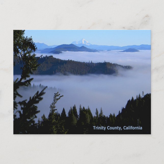Mount  Shasta beyond the fog... Postcard (Front)